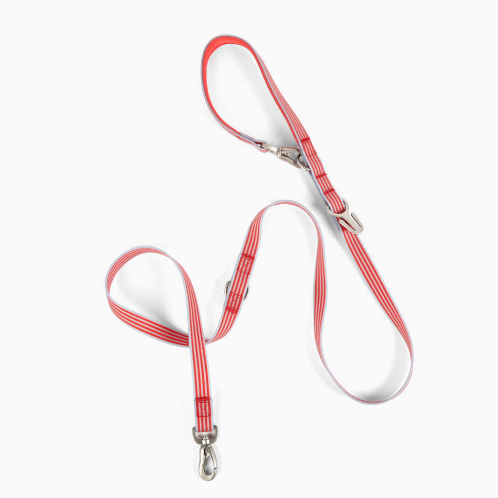 Waterproof Dog Leash - 5ft