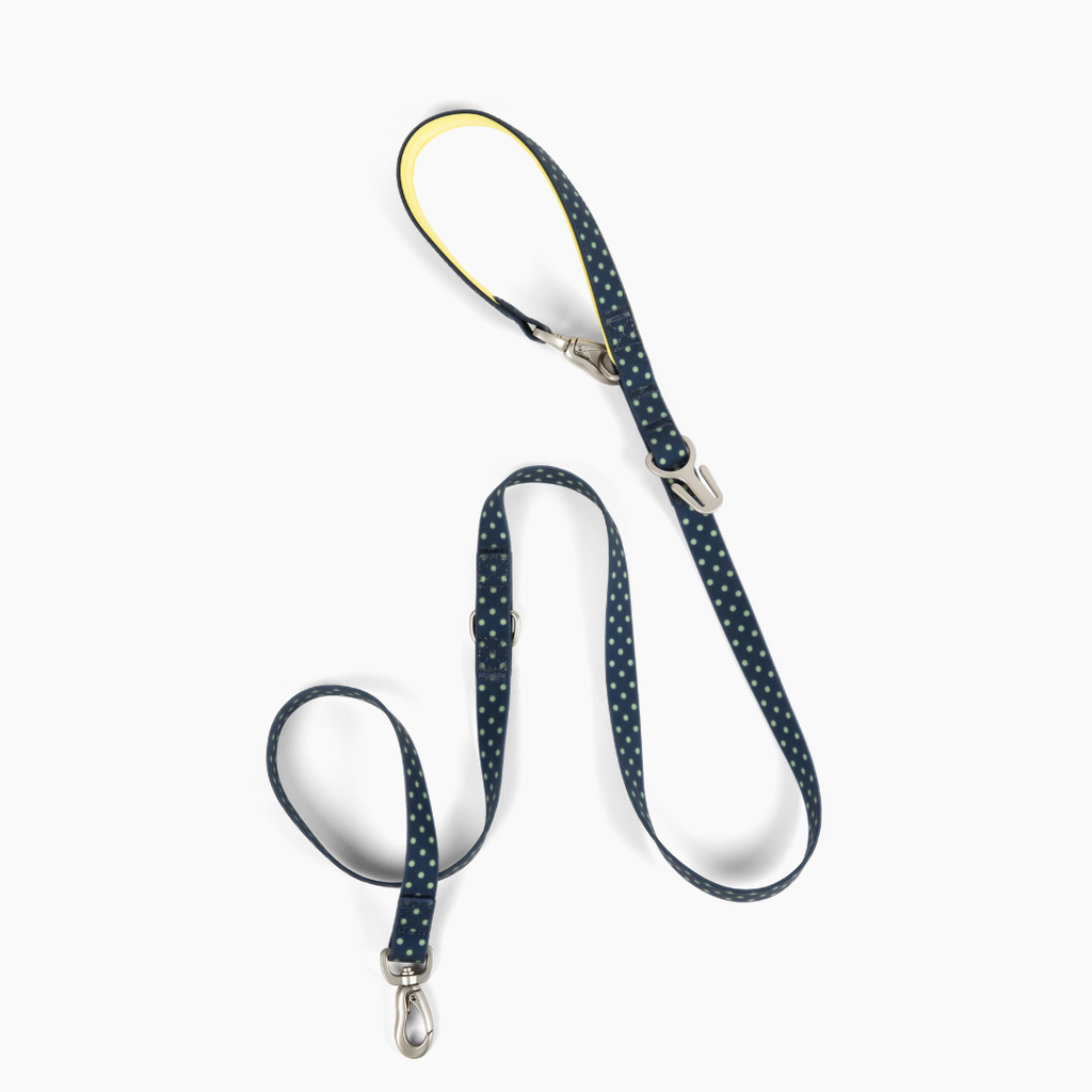 Waterproof Dog Leash - 5ft