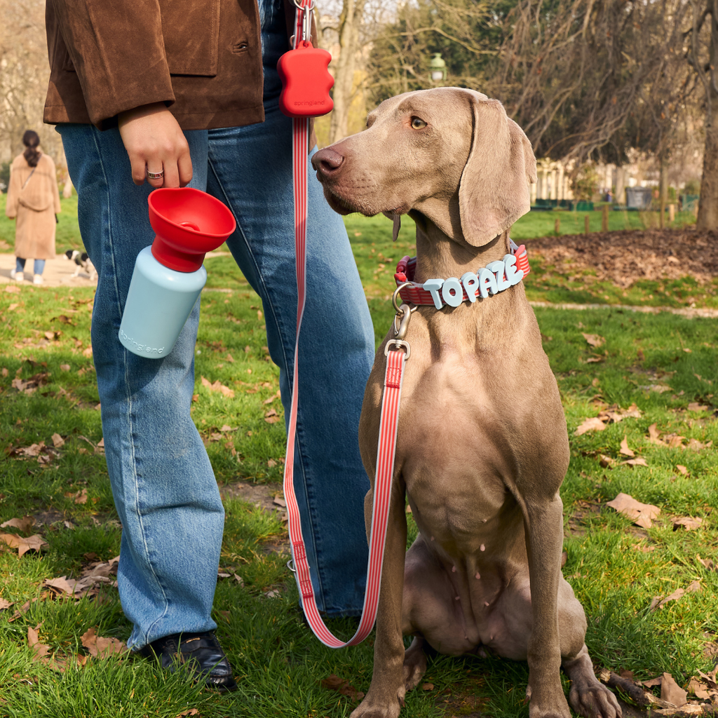 20oz Flip Dog Travel Water Bottle