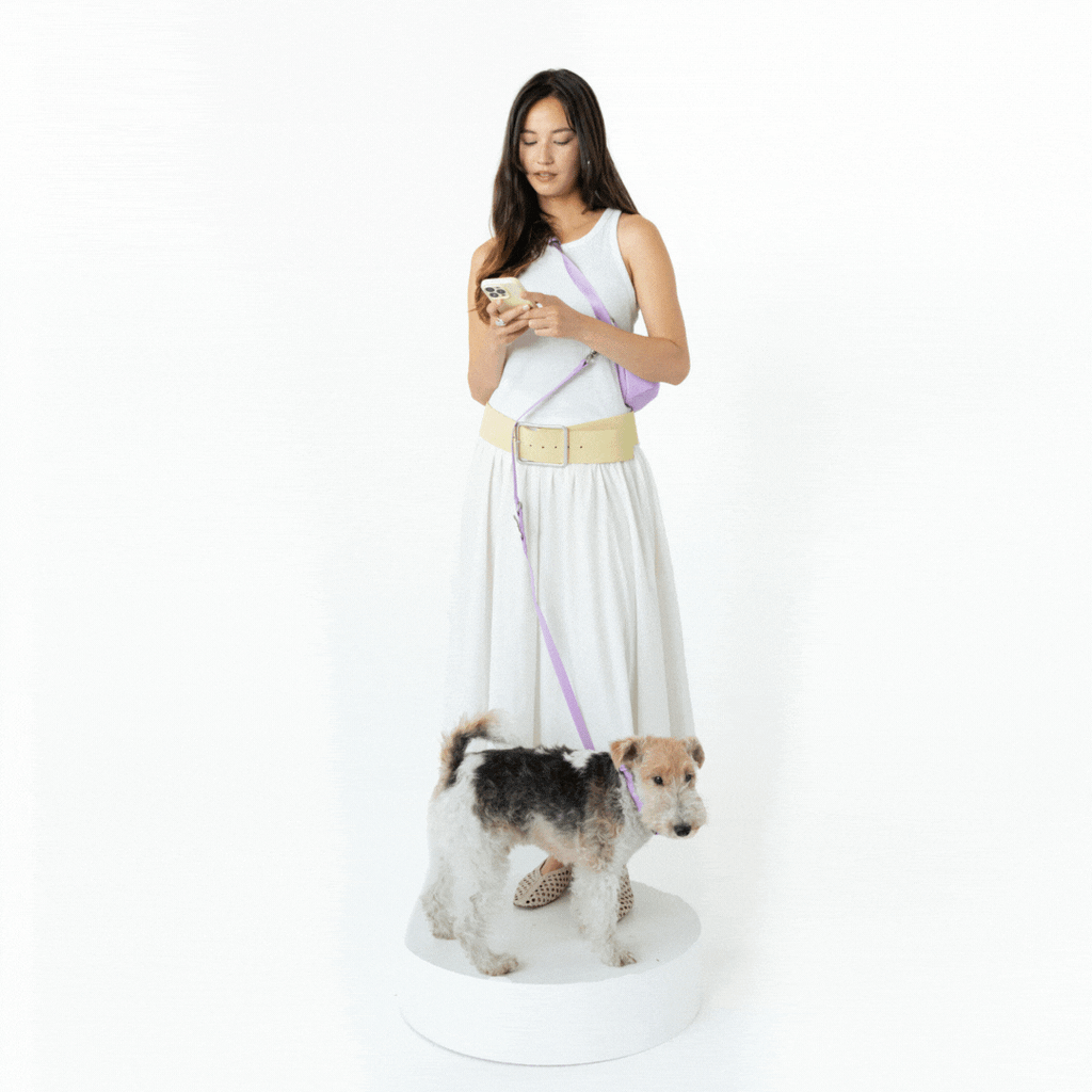Hands-Free Dog Walking Bag with 4ft Leash