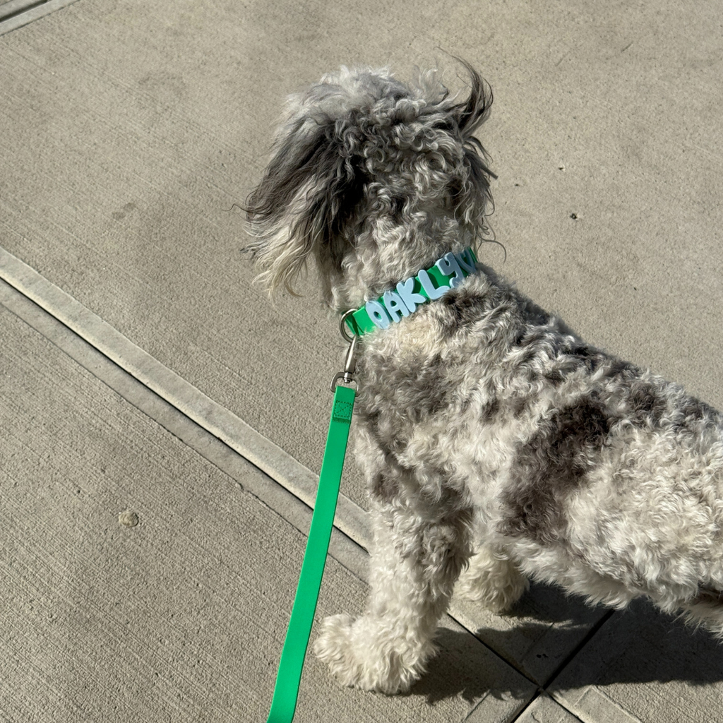 Waterproof Dog Leash - 5ft