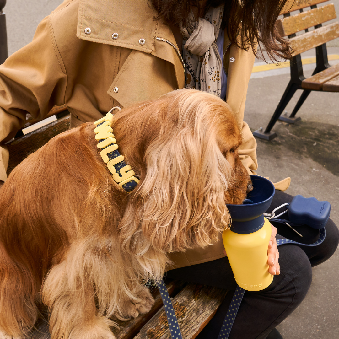 Silicone Dog Treat Dispenser
