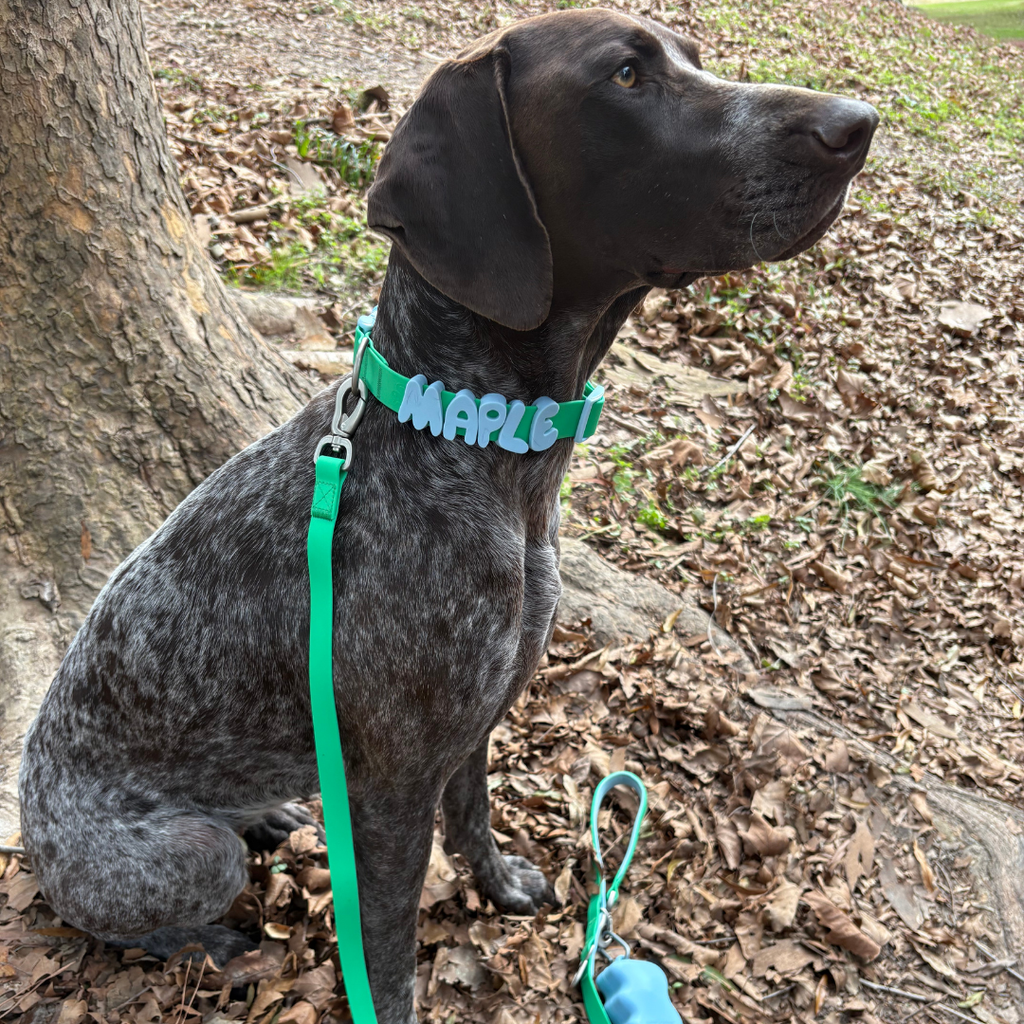 Waterproof Dog Leash - 5ft