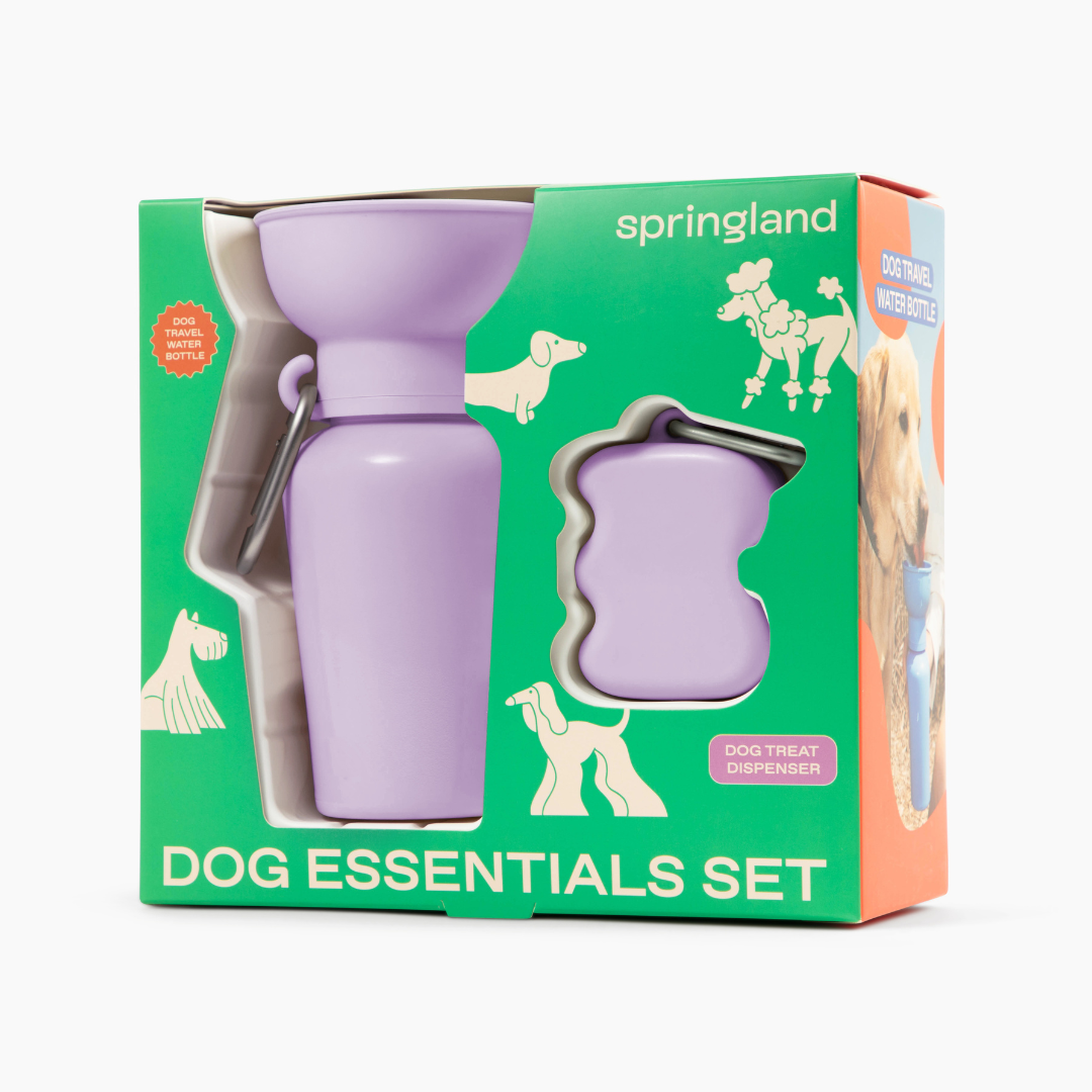 Dog Essentials Gift Box Set