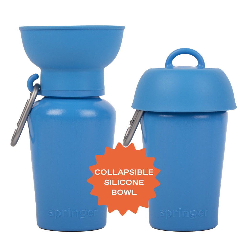 20oz Flip Dog Travel Water Bottle