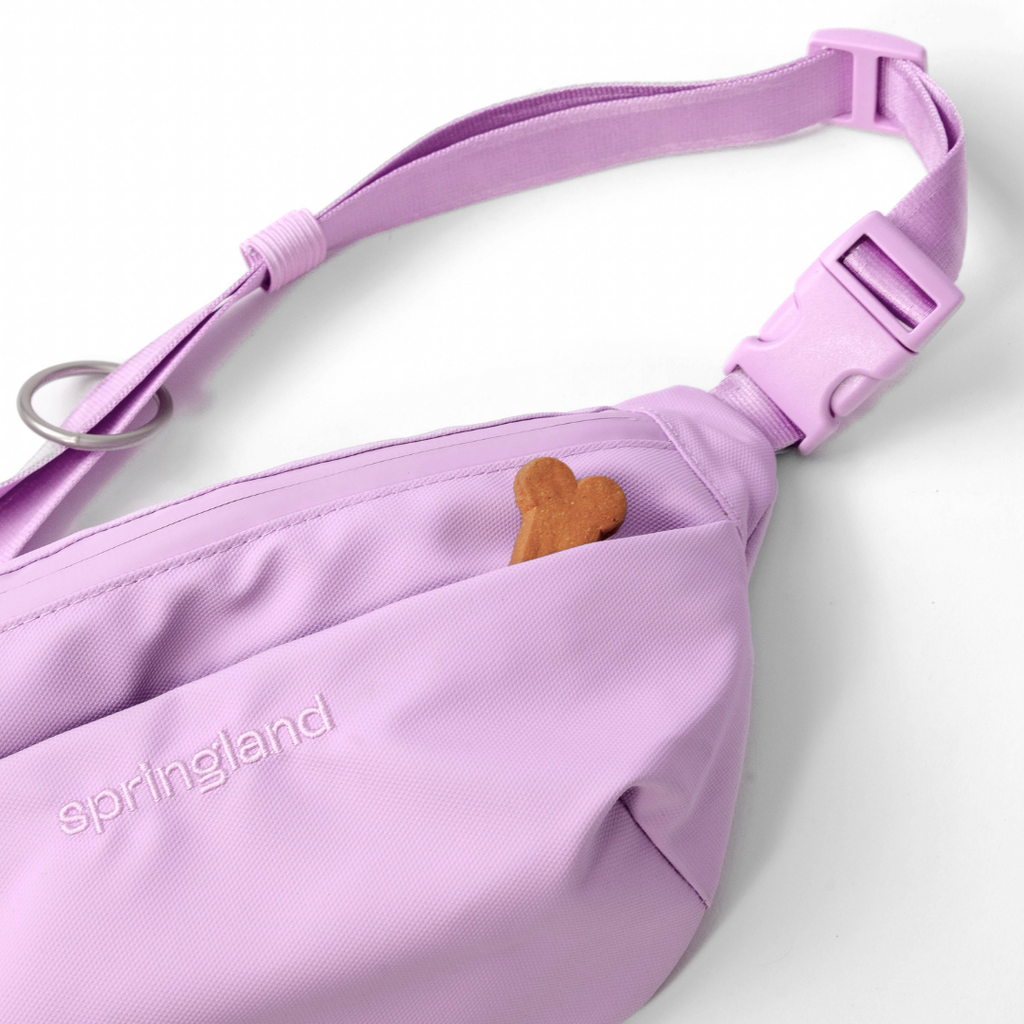 Hands-Free Dog Walking Bag with 4ft Leash