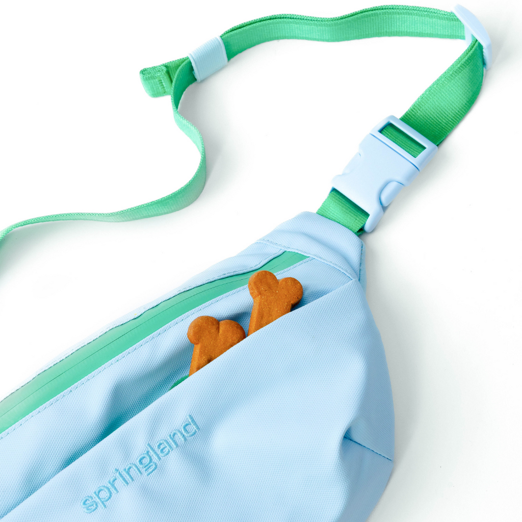 Hands-Free Dog Walking Bag with 4ft Leash
