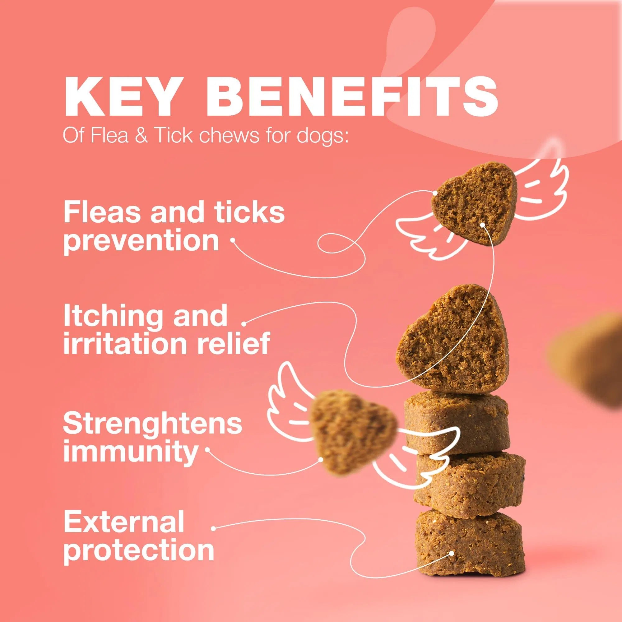 Dog Flea And Tick Treatment Chews FleaTick Prevention For Dogs Chewables Natural Dog Flea & Tick Control Soft Treats Immune Support Supplement CANNOT Be Listed For Sale On Amazon