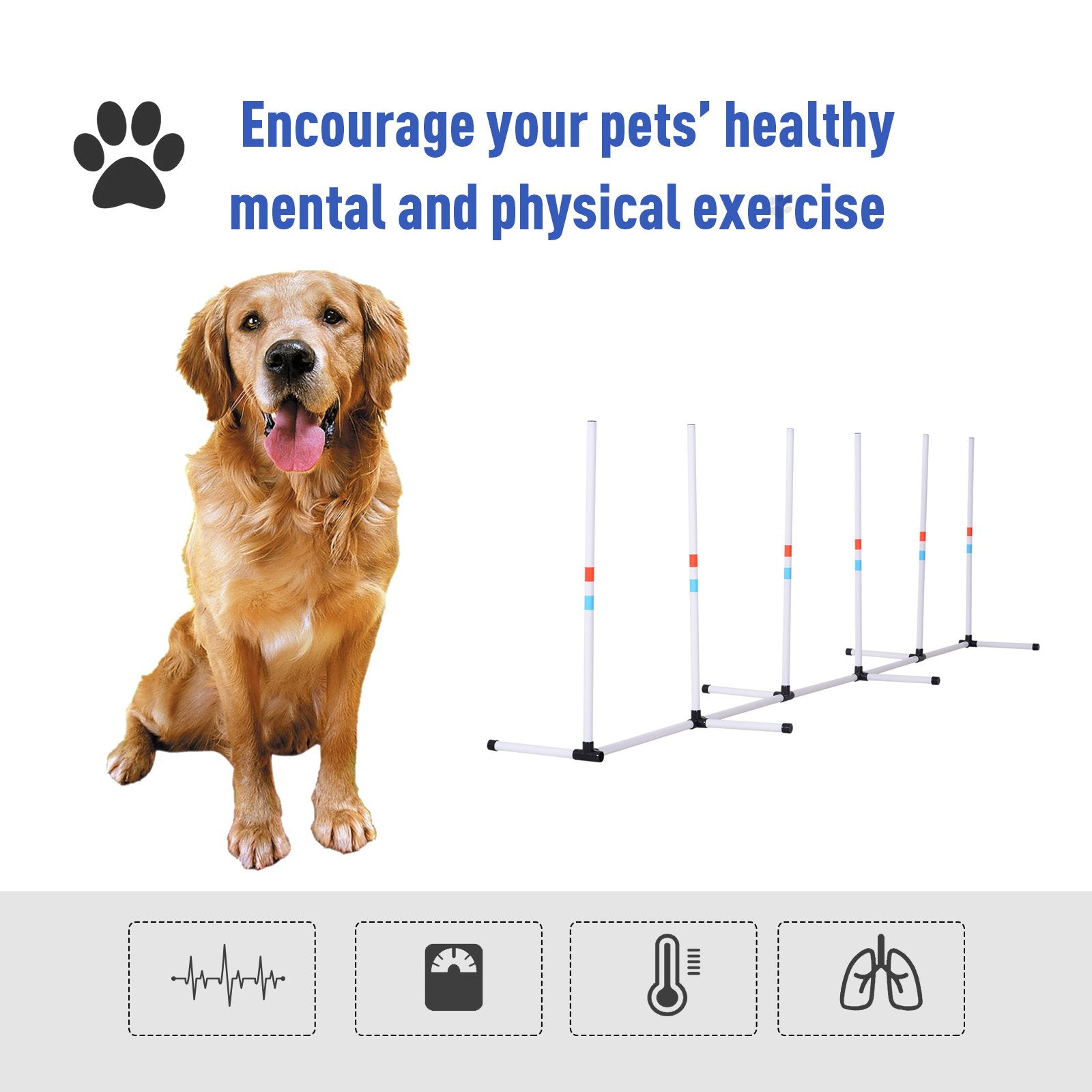Sturdy Dog Weaves Poles Pet Speed and Agility Equipment Dogs Obstacle Outdoor w/ Storage Bag