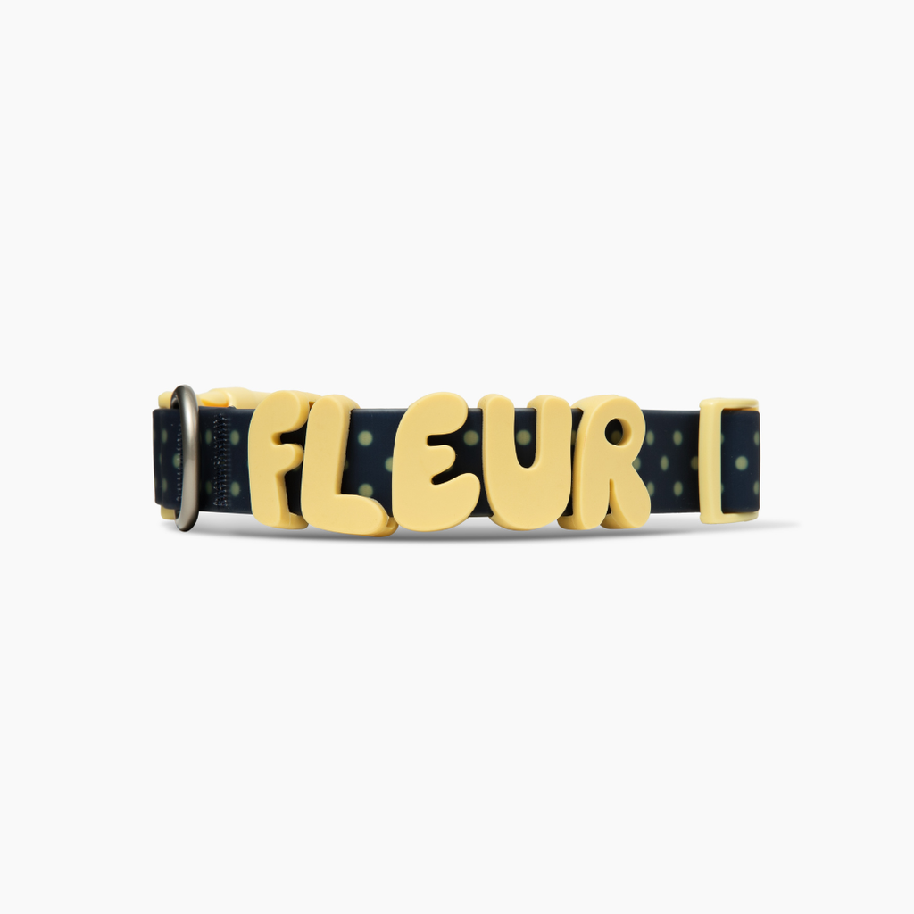 Waterproof Dog Collar