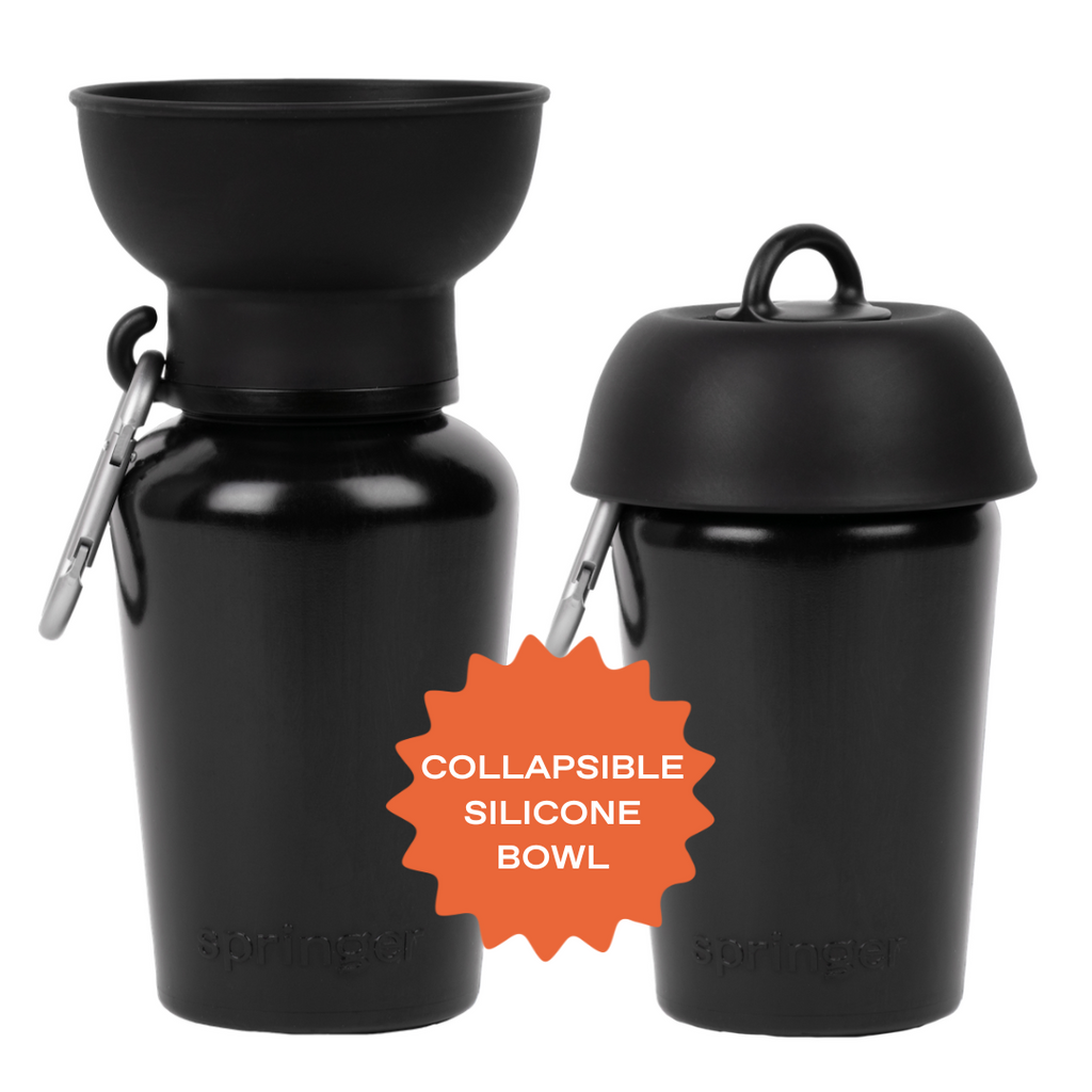 20oz Flip Dog Travel Water Bottle