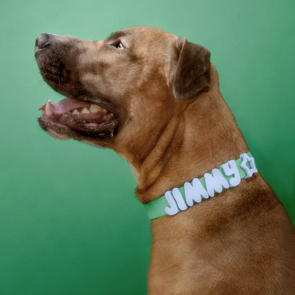 Waterproof Dog Collar