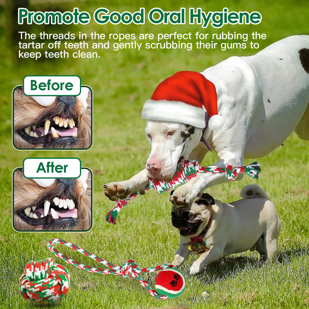 Set Of 5Pcs Dog Rope Chew Toys Dog Interactive Toys Set For Puppy Small Medium Aggressive Chewers Dogs Training Teething Playing