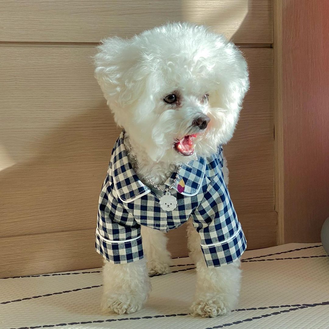 Plaid Khaki Blue Pocket Pajamas For Dogs
