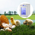 White Reptile Incubator 25L Scientific Lab Incubator Digital Incubator Cooling And Heating 5-42°C Reptile Egg Incubator 12V/110V Work For Small Reptiles
