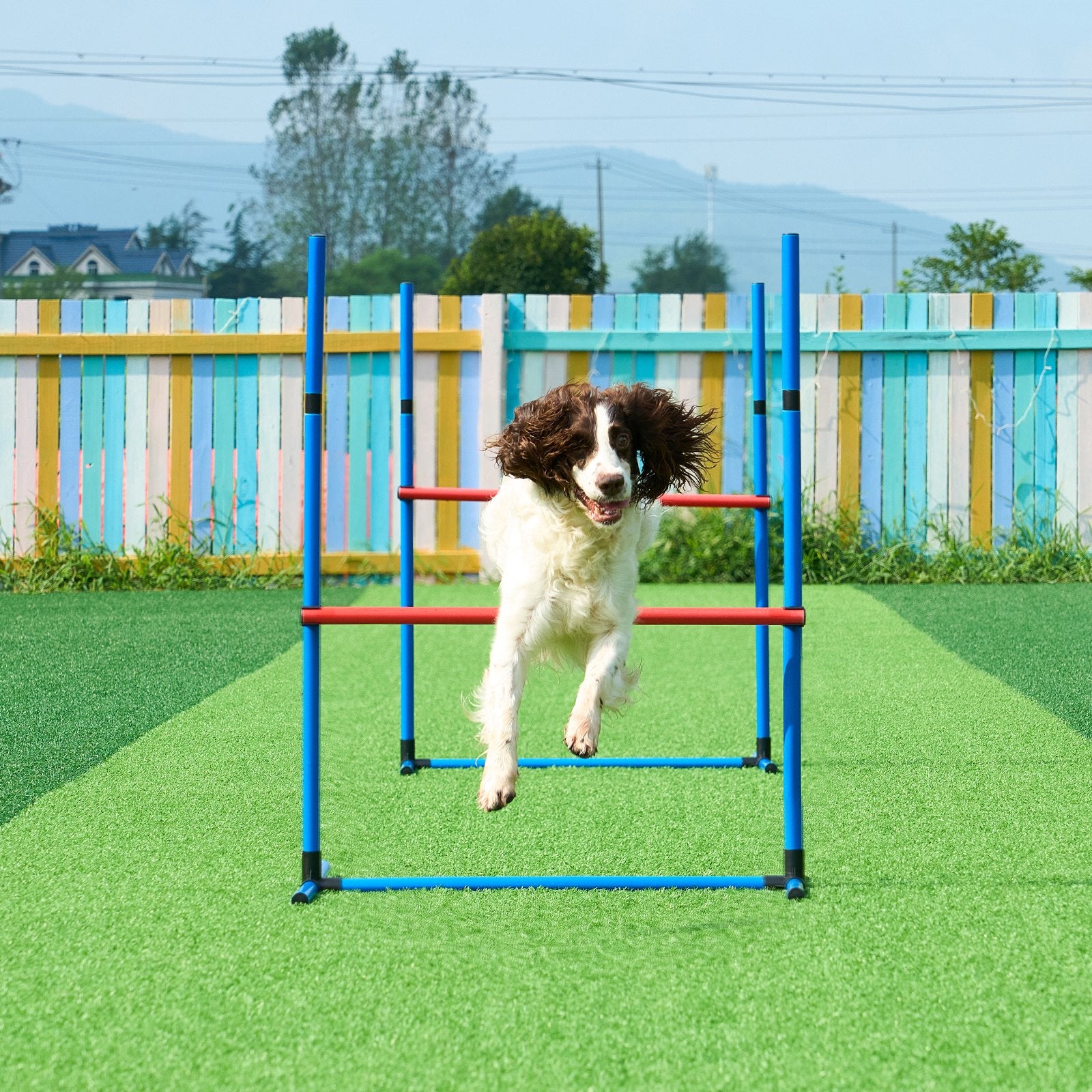 Dog Agility Training Equipment 7 PCS Set W/ Hurdles 2 Tunnels Jump Ring