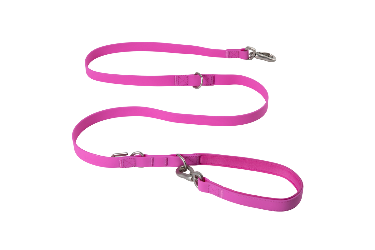 Waterproof Dog Leash - 5ft