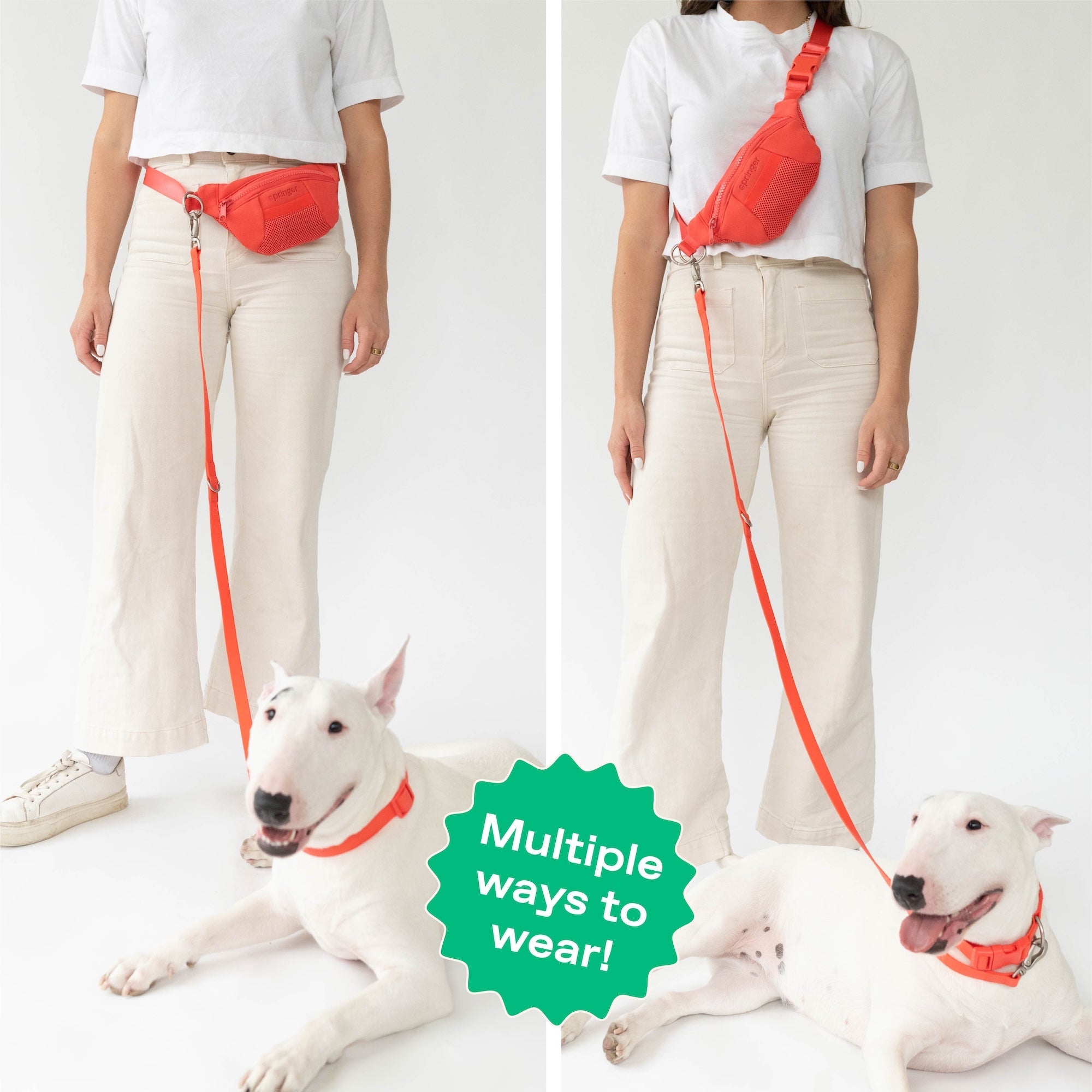 Original Hands-Free Neoprene Dog Walking Bag with 4ft Leash