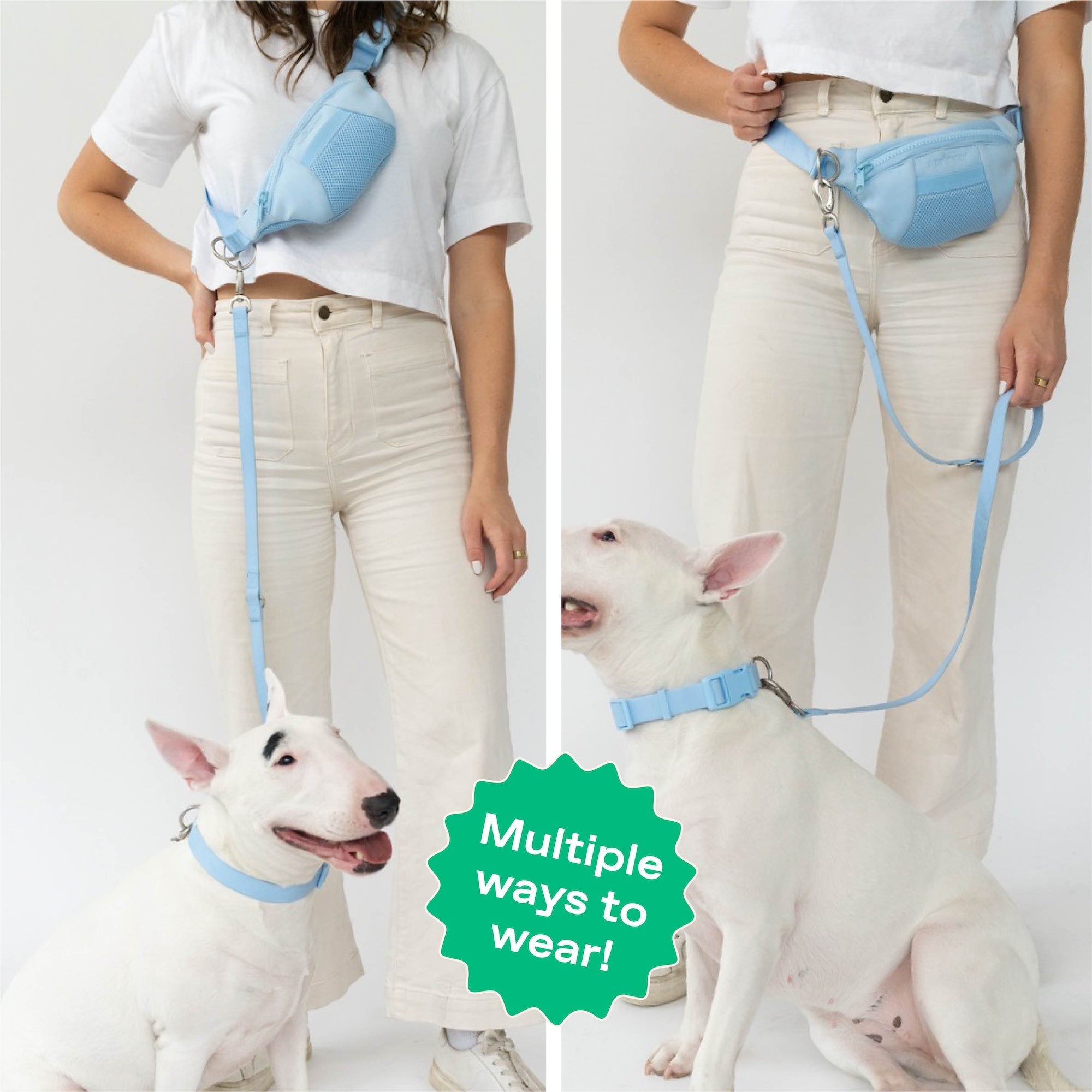 Original Hands-Free Neoprene Dog Walking Bag with 4ft Leash