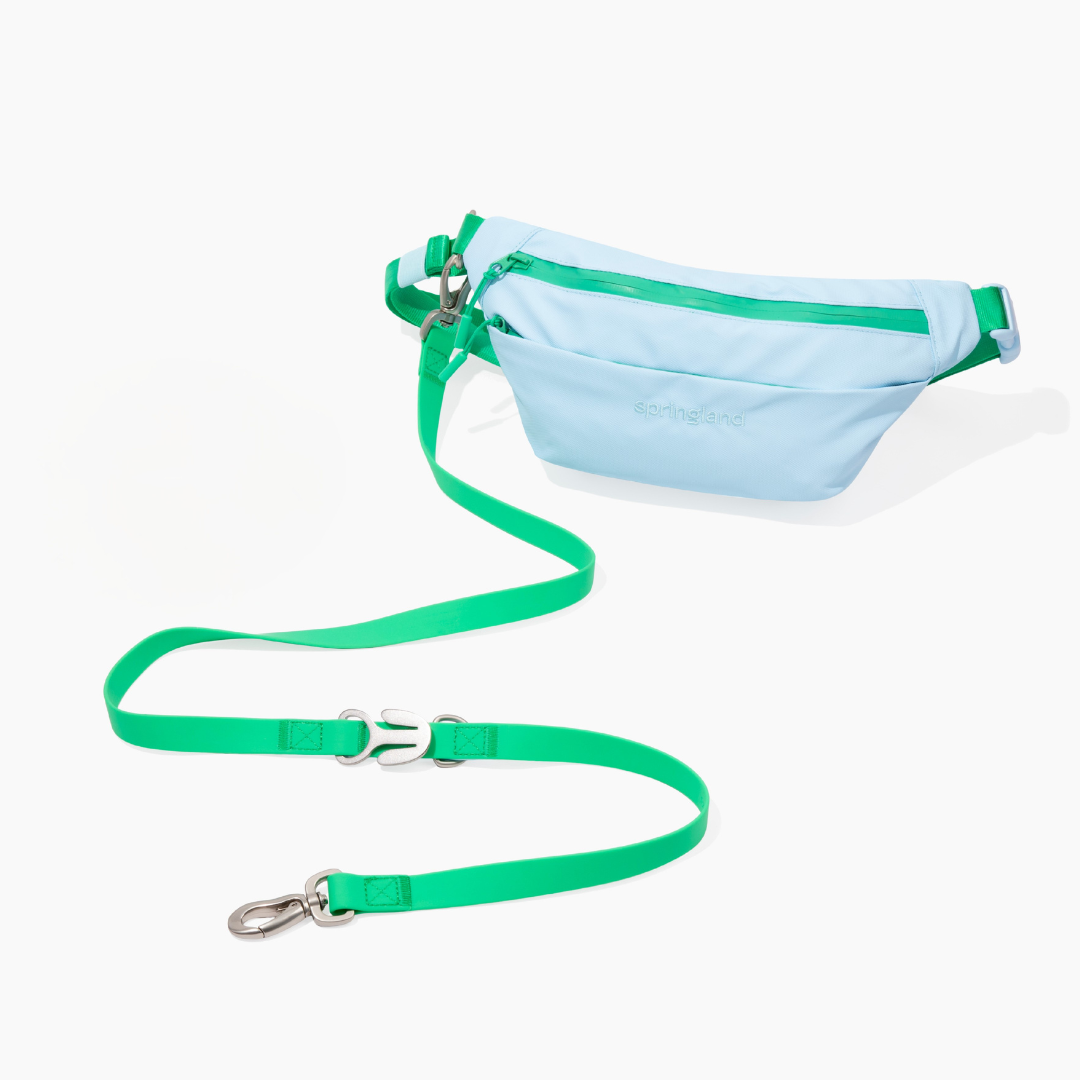 Hands-Free Dog Walking Bag with 4ft Leash