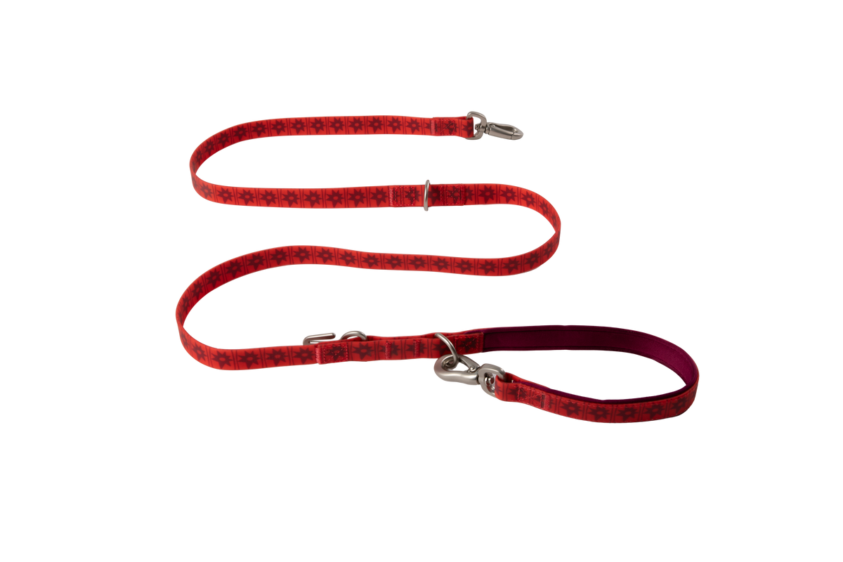 Waterproof Dog Leash - 5ft