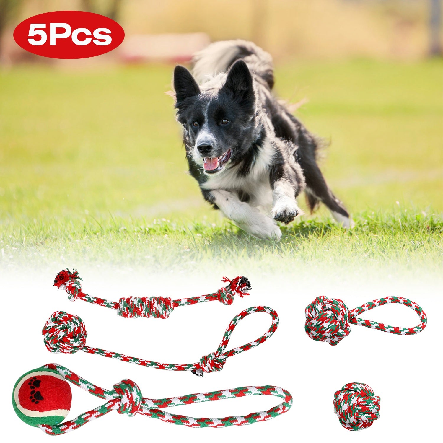 Set Of 5Pcs Dog Rope Chew Toys Dog Interactive Toys Set For Puppy Small Medium Aggressive Chewers Dogs Training Teething Playing
